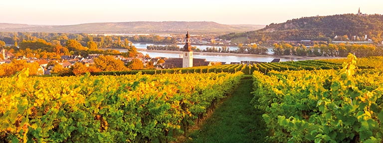 Autumn foliage in Rüdesheim at dusk on the Rhine River, Germany